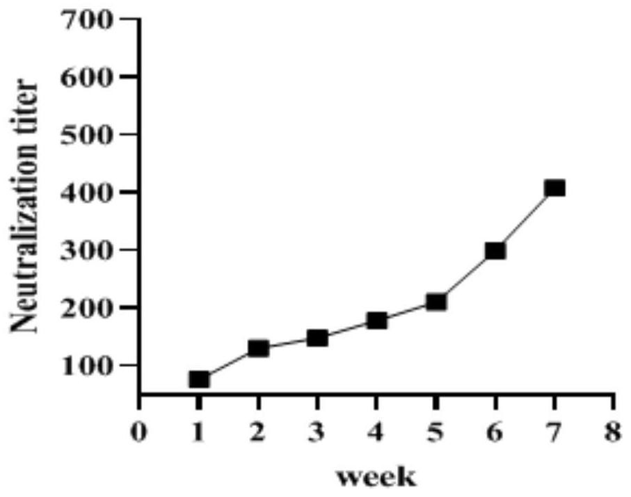 Preparation method and application of anti-porcine rotavirus egg yolk antibody