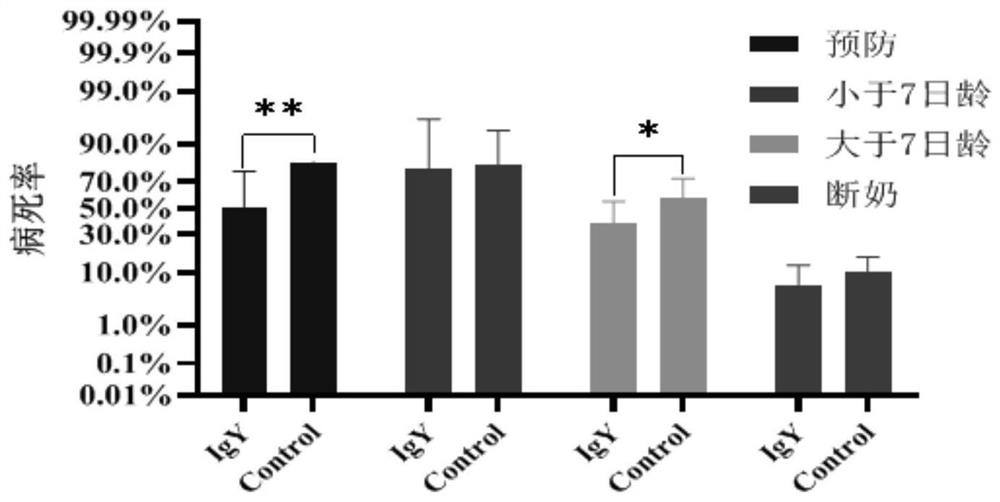 Preparation method and application of anti-porcine rotavirus egg yolk antibody