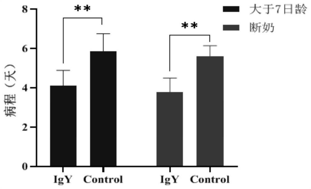 Preparation method and application of anti-porcine rotavirus egg yolk antibody