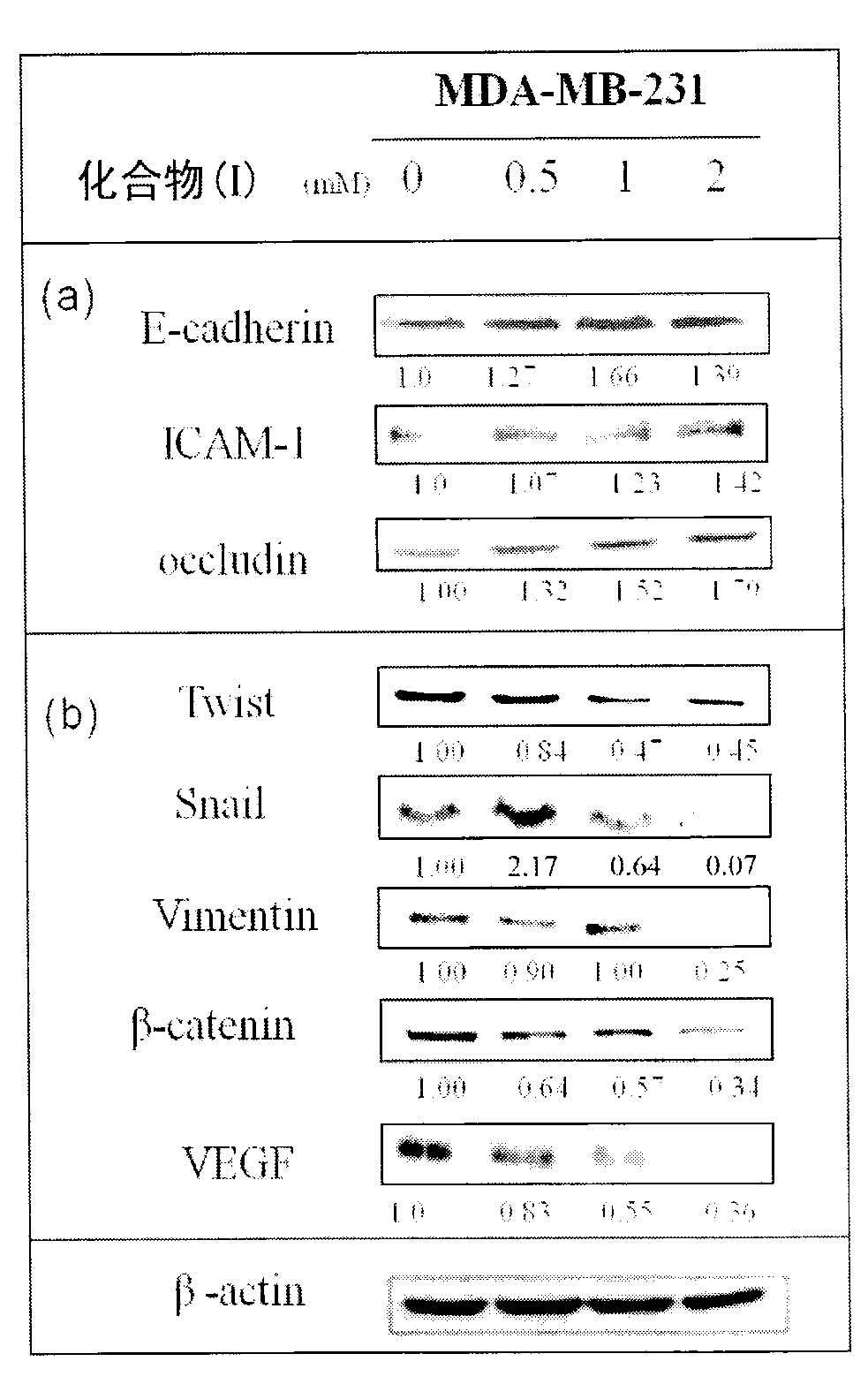 Compounds and pharmaceutical compositions thereof for inhibiting mammalian tumor cell proliferation