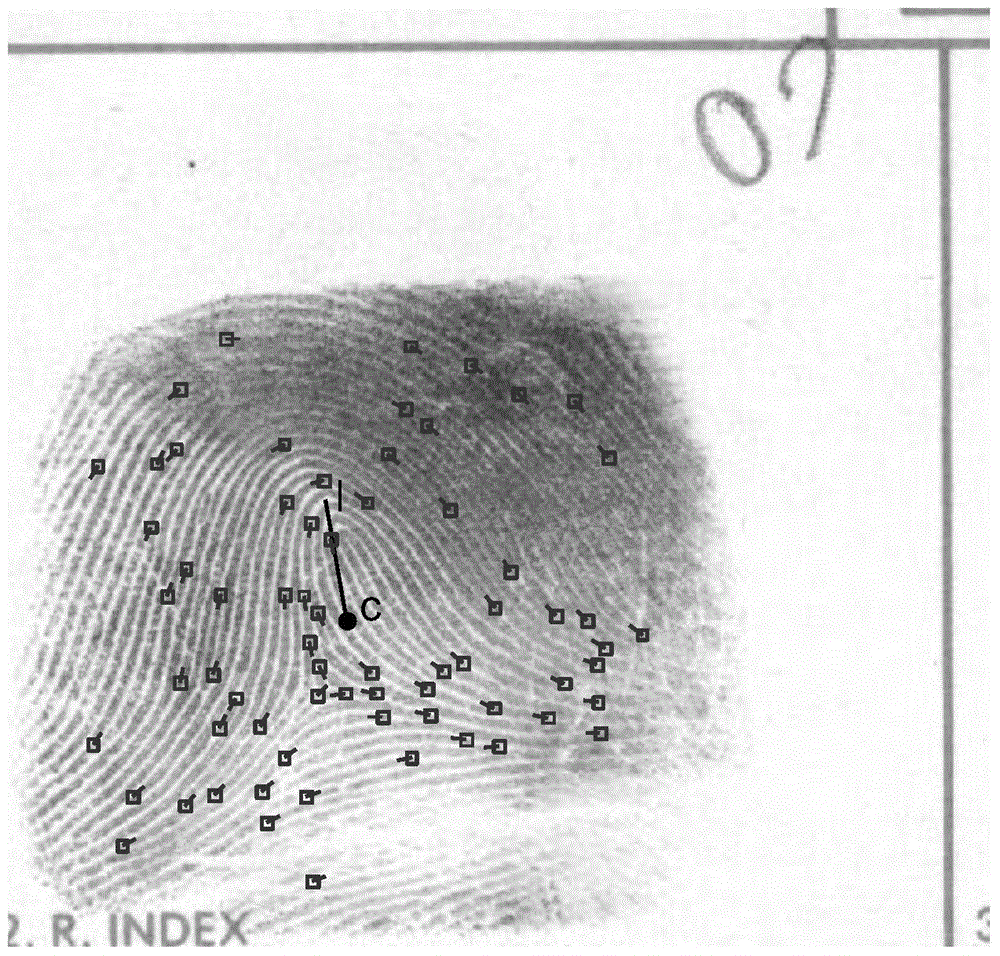 Fingerprint Retrieval Method and System Based on Posture Correction