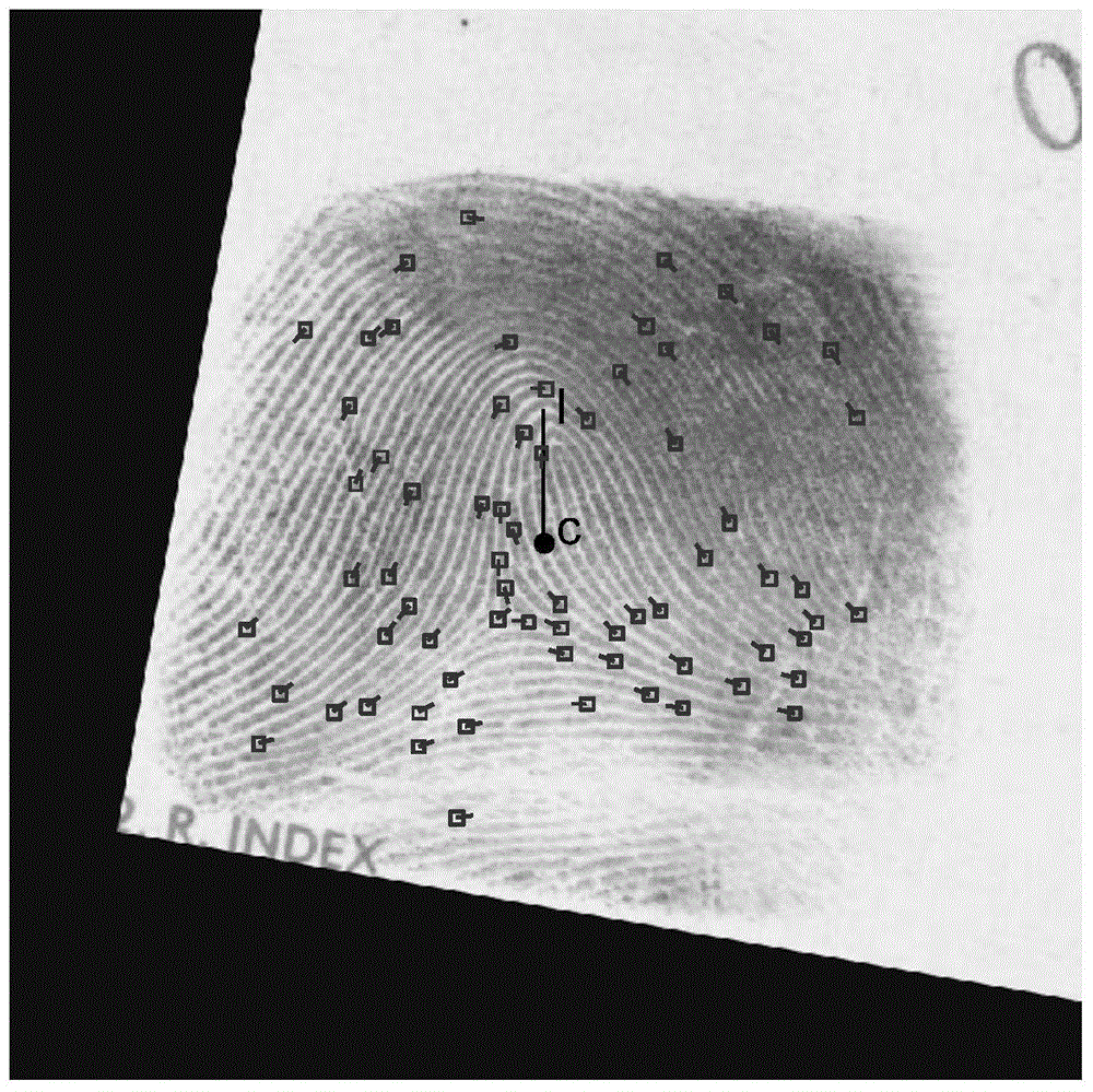 Fingerprint Retrieval Method and System Based on Posture Correction