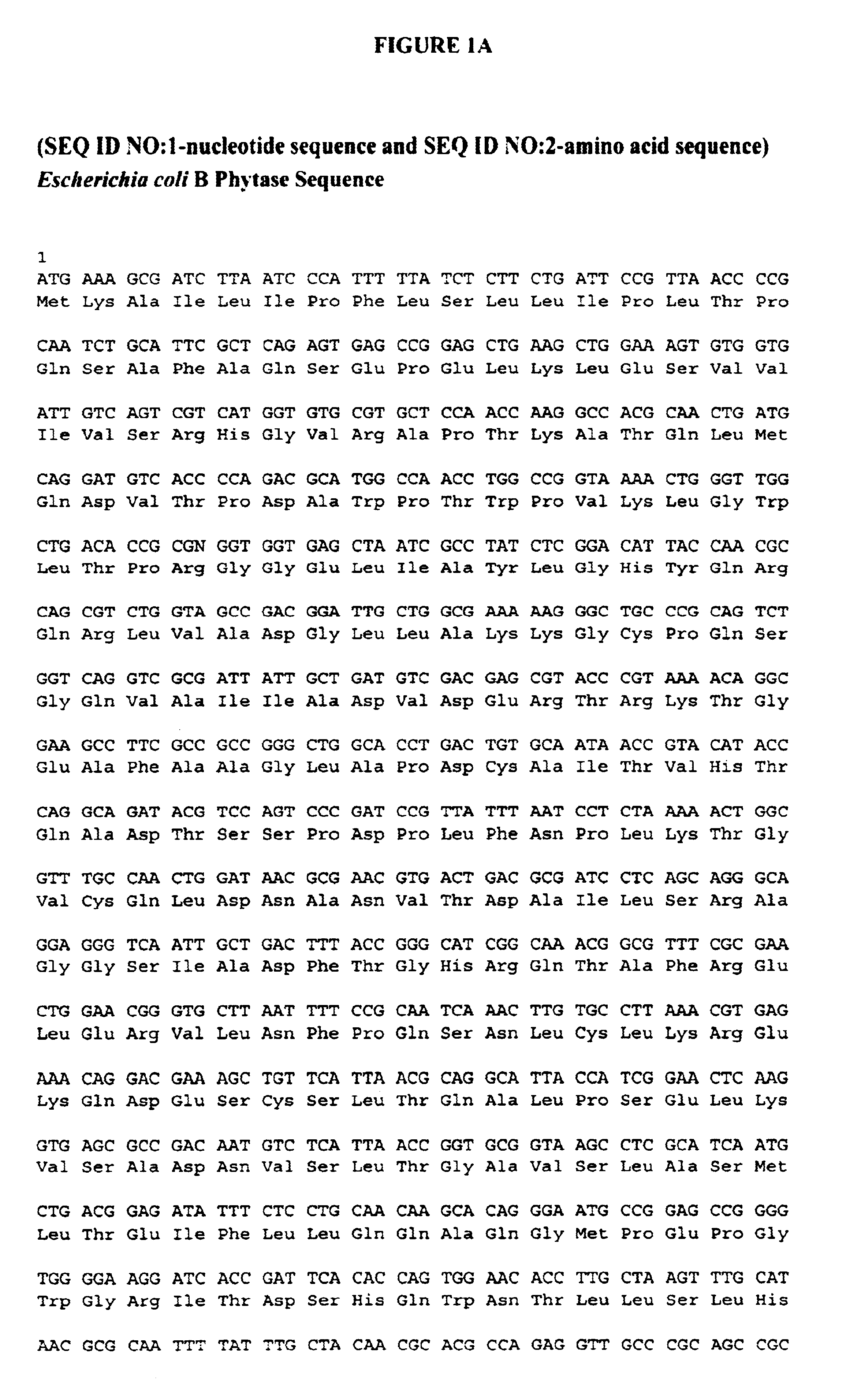 Phytase-containing foodstuffs and methods of making and using them