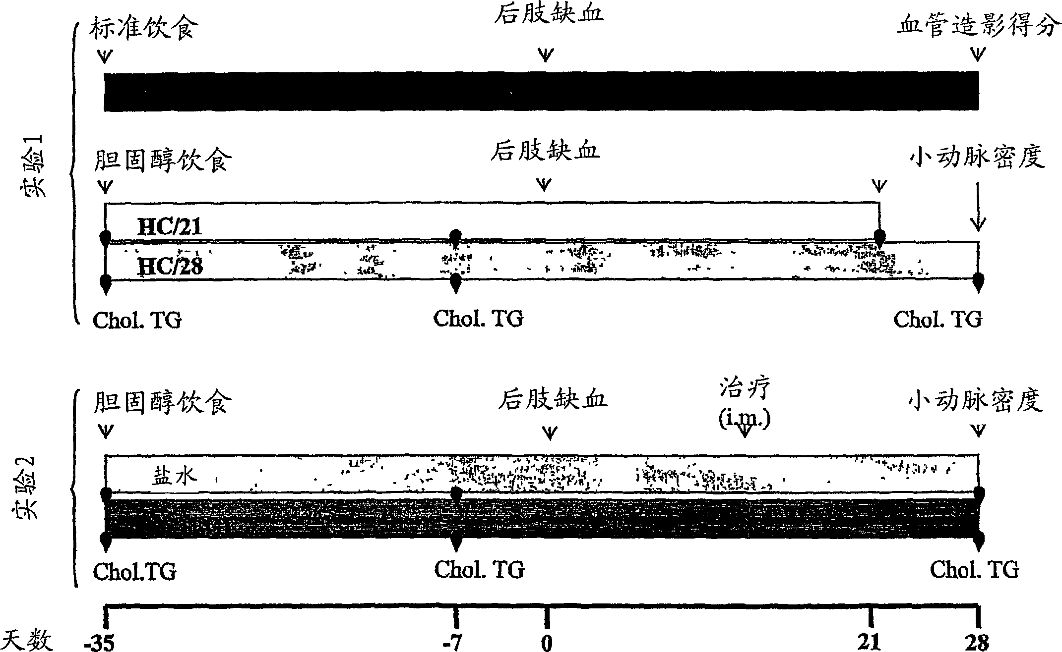 Plasmid encoding fibroblast growth factor for the treatment of hypercholesterolemia or diabetes associated angiogenic defects