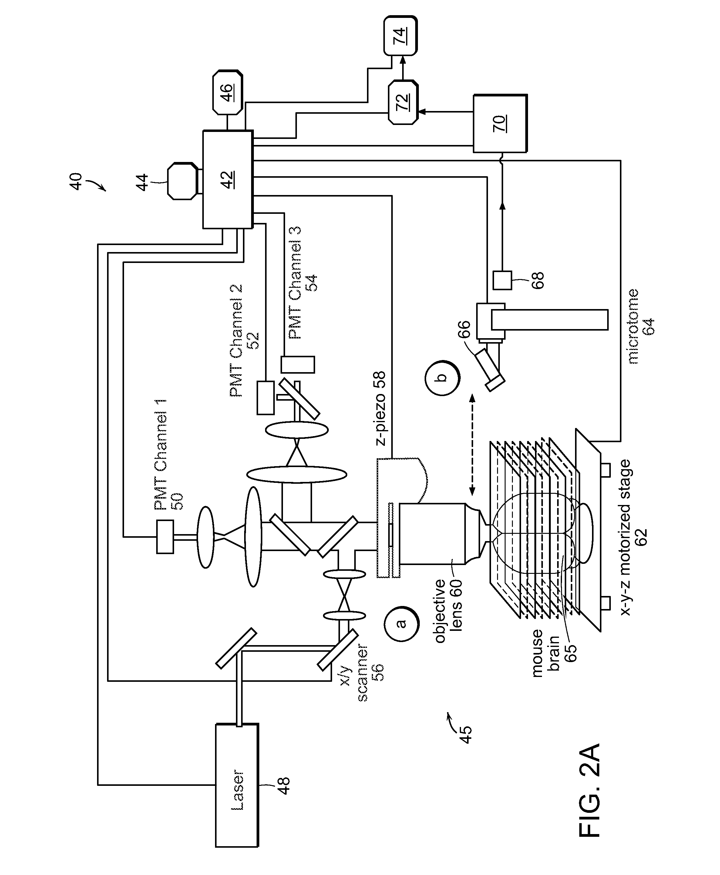 Systems and methods for imaging and processing tissue