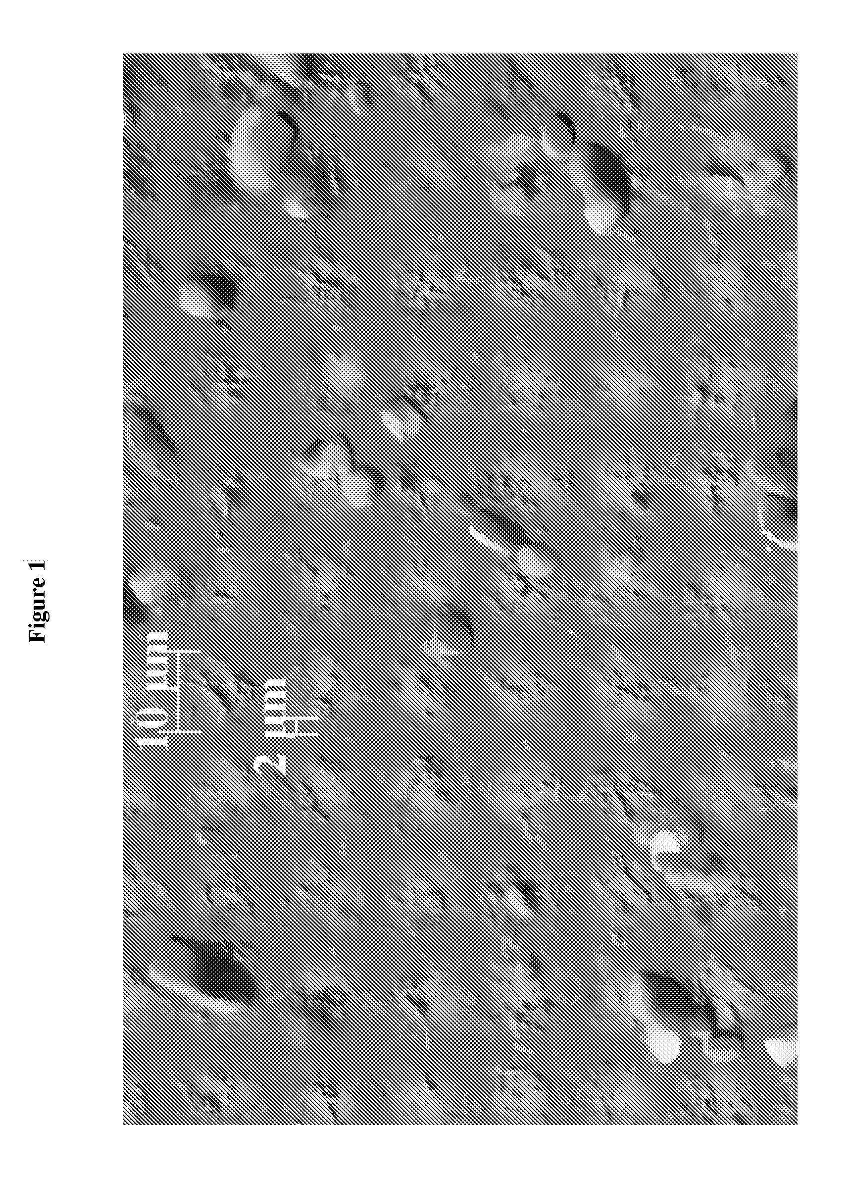 Method for Preparing a Non-Ionic Surfactant Stable Personal Care Dispersion