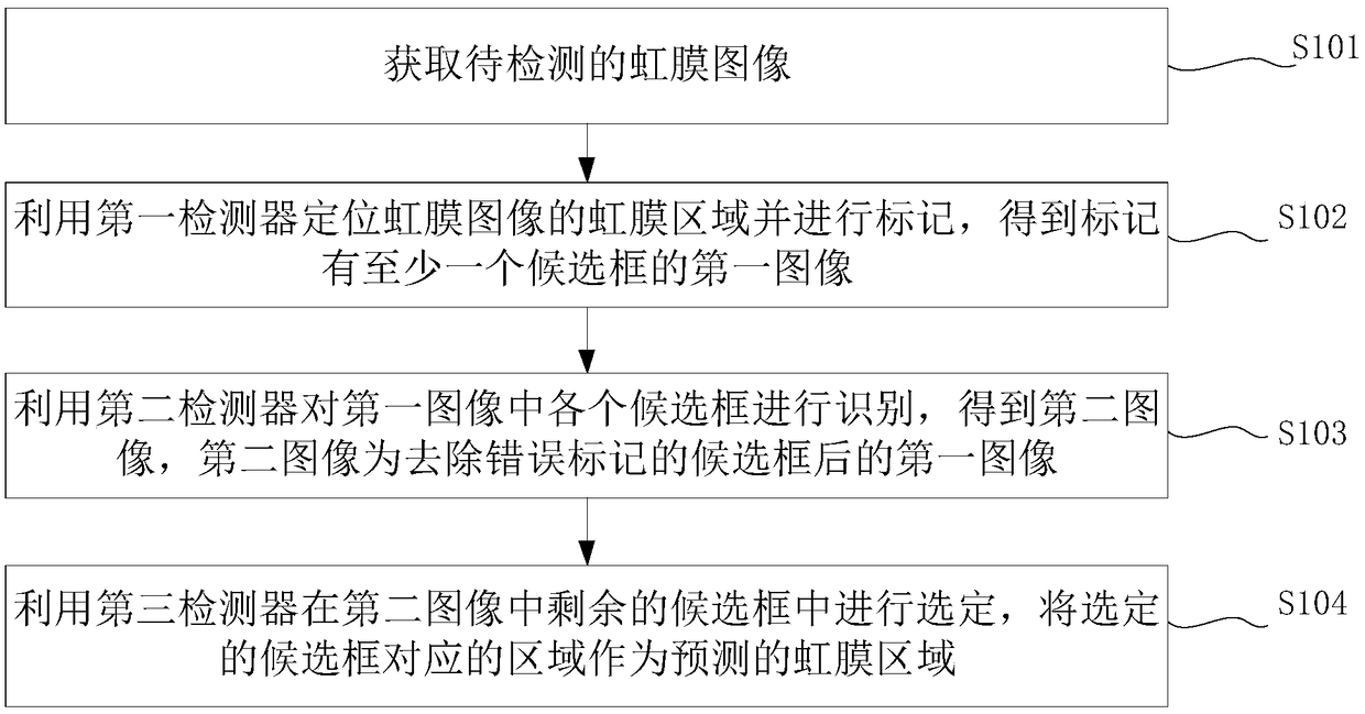 A multi-task based iris detection and perspective classification method