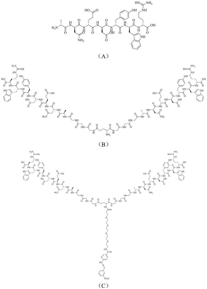 A kind of dar2 polypeptide radiopharmaceutical and preparation method thereof