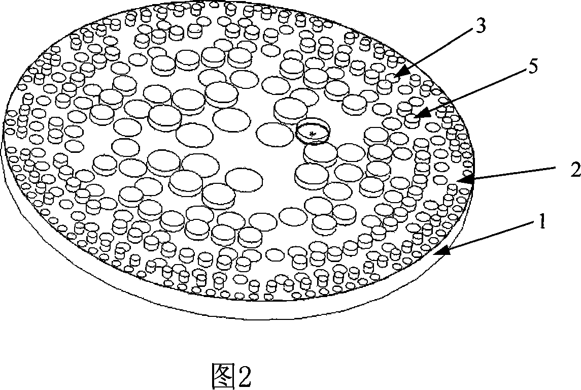 Binary photon sieve