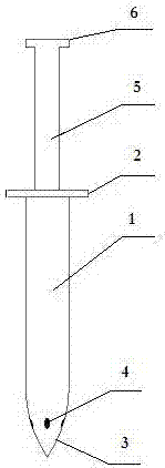 Rooted type anchor pile nail