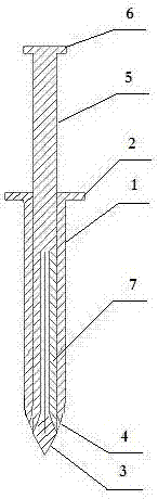 Rooted type anchor pile nail