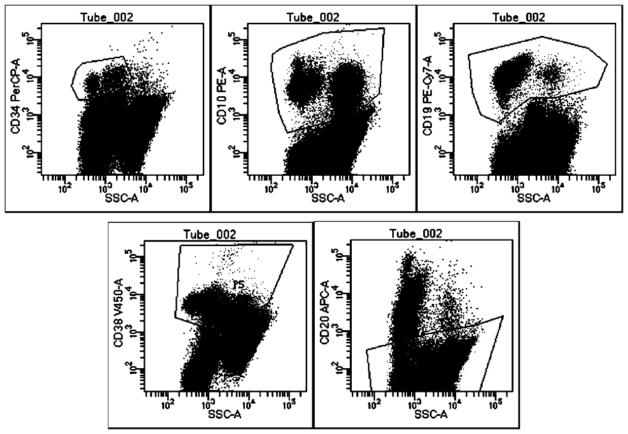 Detection kit for minute residues of B-cell acute lymphocyte leukemia