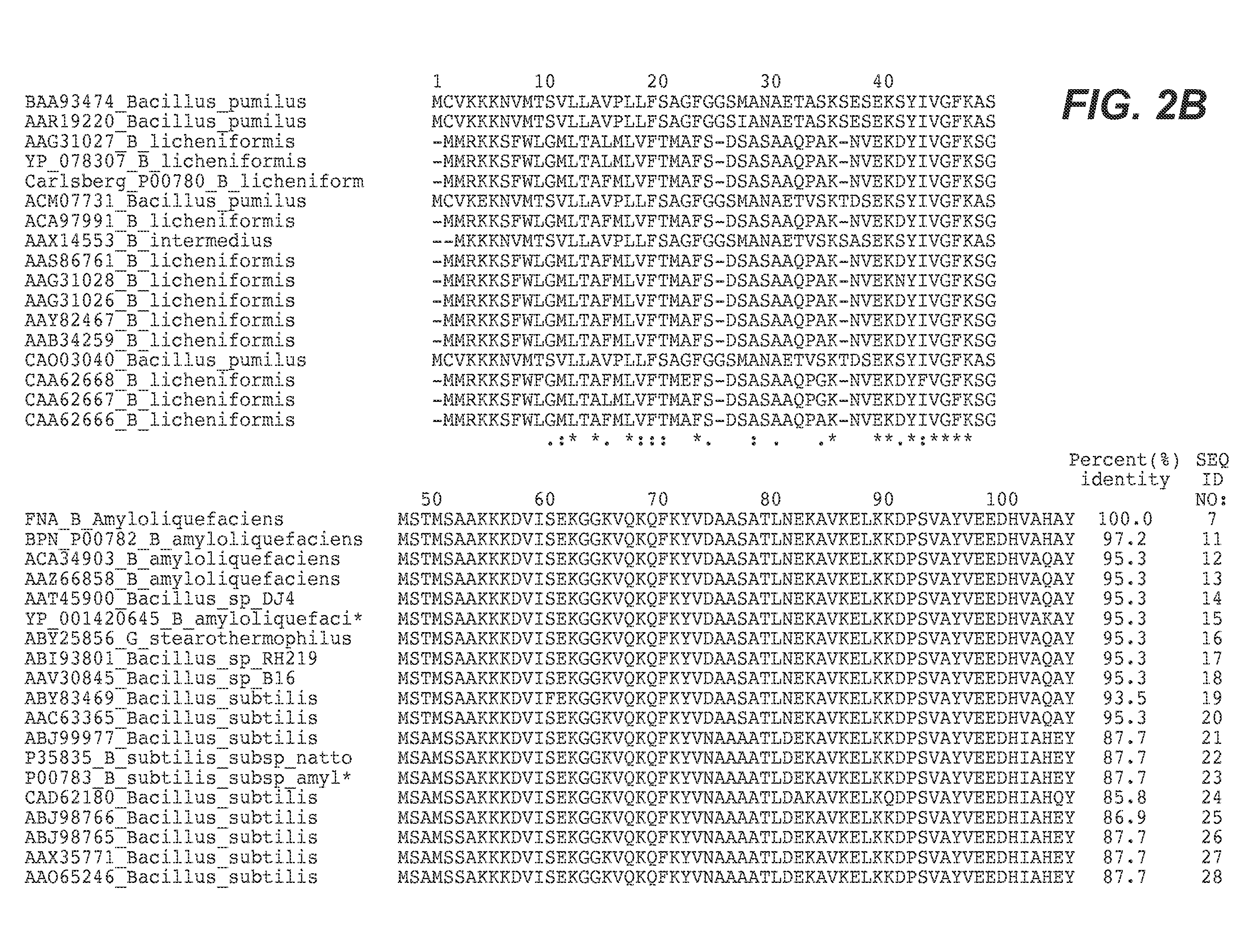 Proteases With Modified Pre-Pro Regions