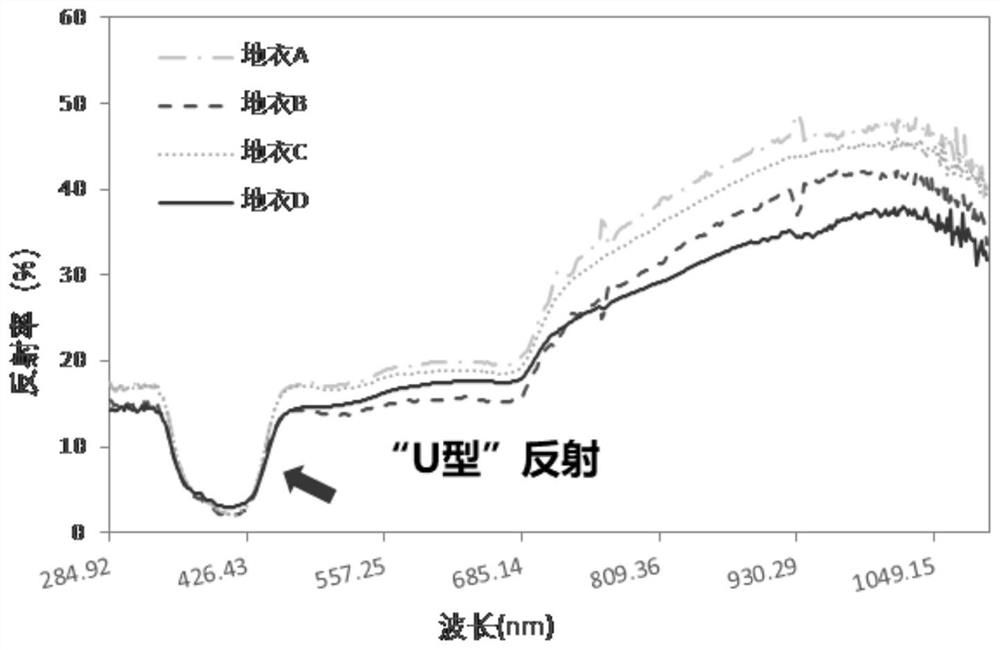 Method for extracting optimized lichen coverage index of Antarctic peninsula