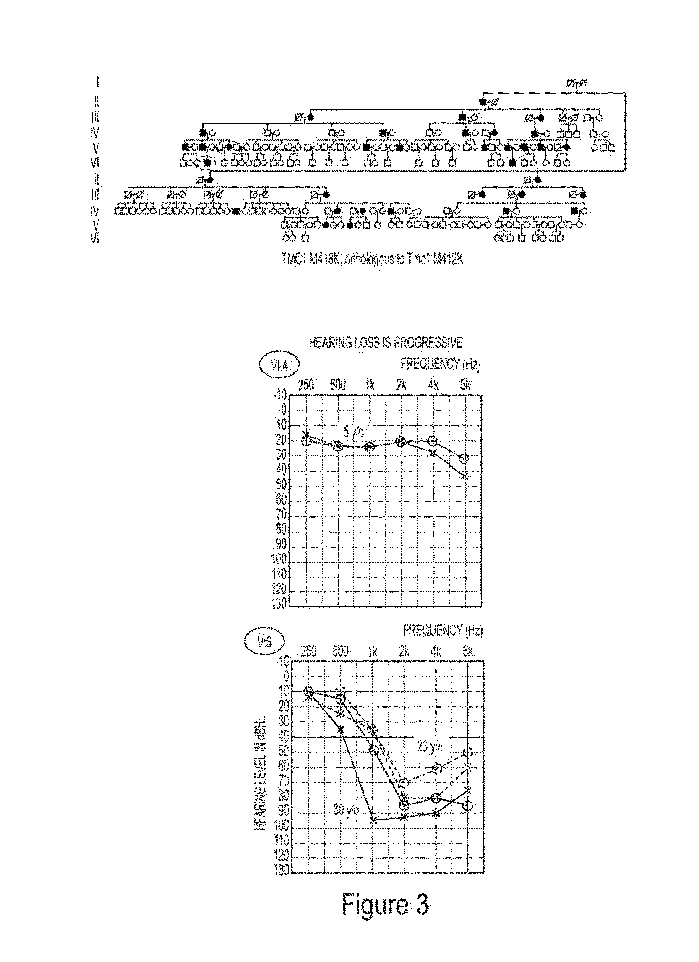 Methods to prevent and treat autosomal dominant non-syndromic hearing loss