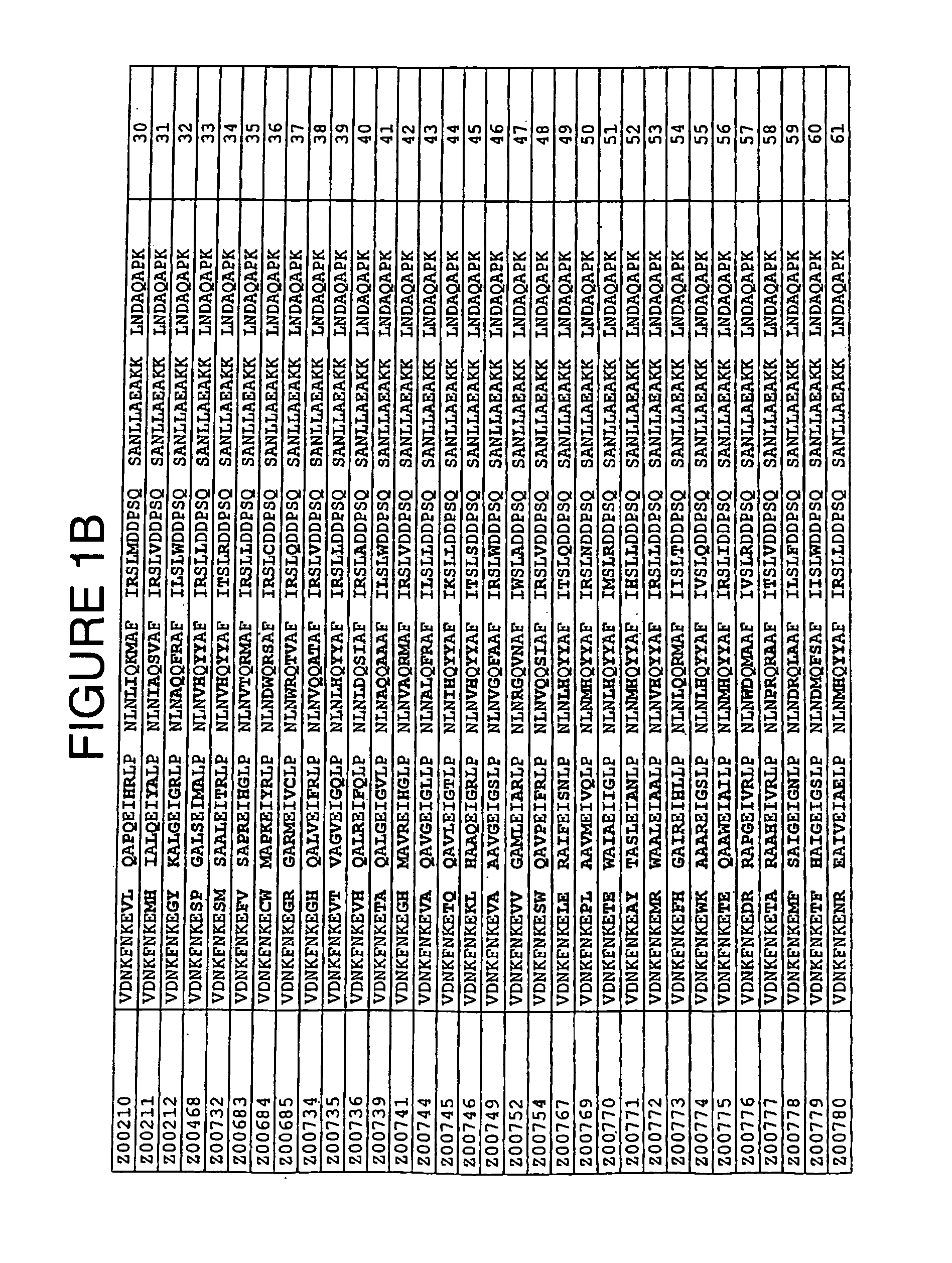 Staphylococcus protein A domain mutants that bind to TNF-α