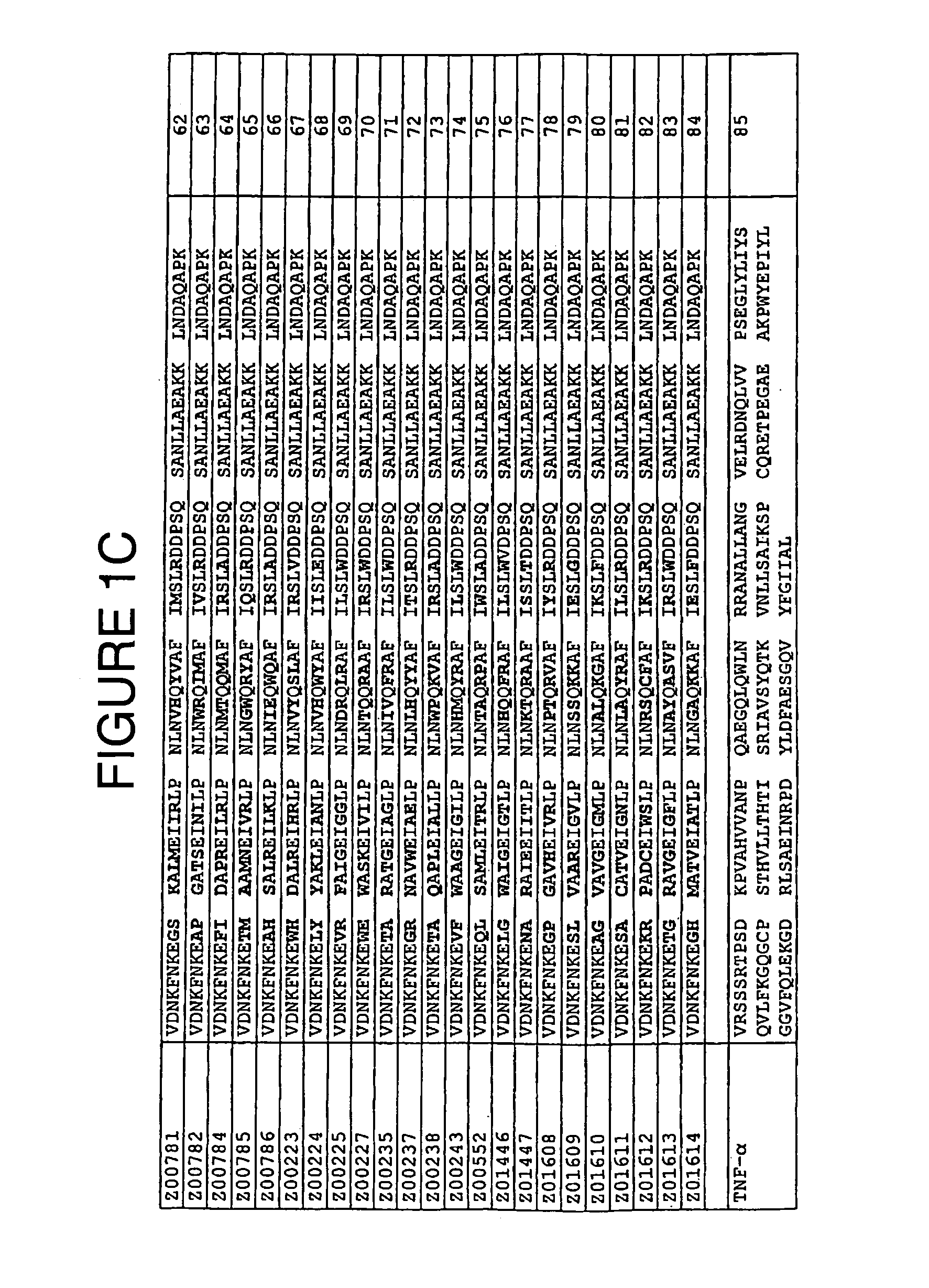 Staphylococcus protein A domain mutants that bind to TNF-α