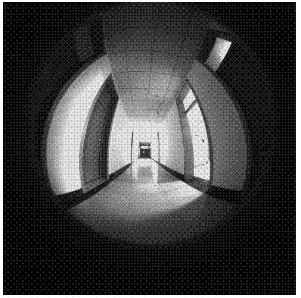 Self-adaptive and rapid correcting method for fish-eye lens