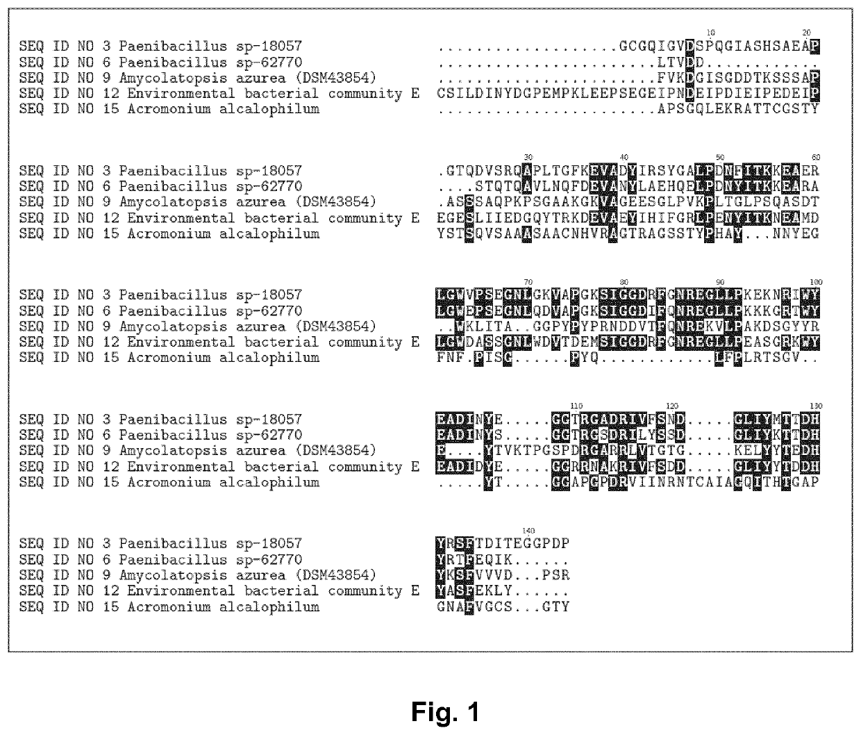 Polypeptides having rnase activity