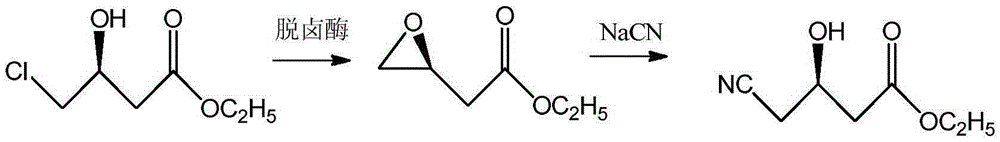 Process for enzymatic synthesis of (R)-4-cyano-3-hydroxybutyrate from sodium alginate immobilized halogenohydrin dehalogenase