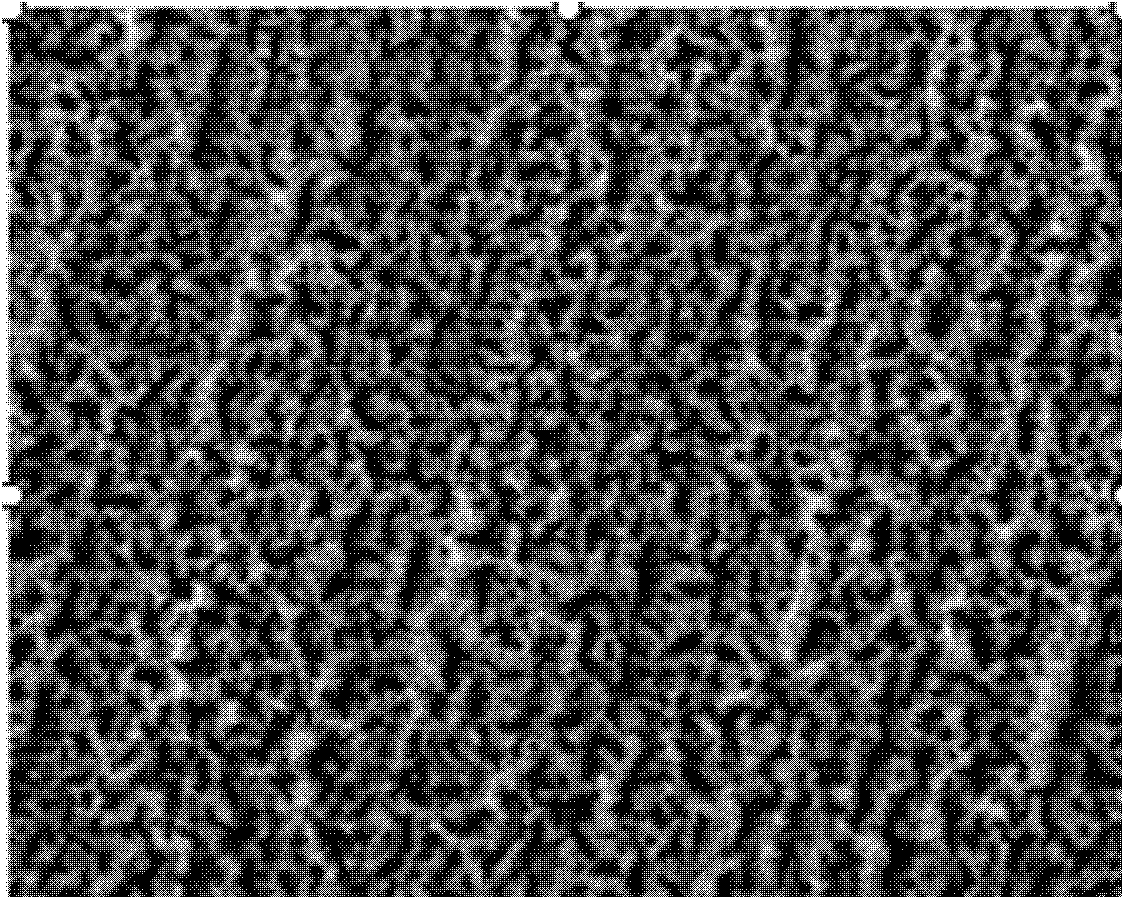 Method for texturing silicon wafer cut by diamond wire