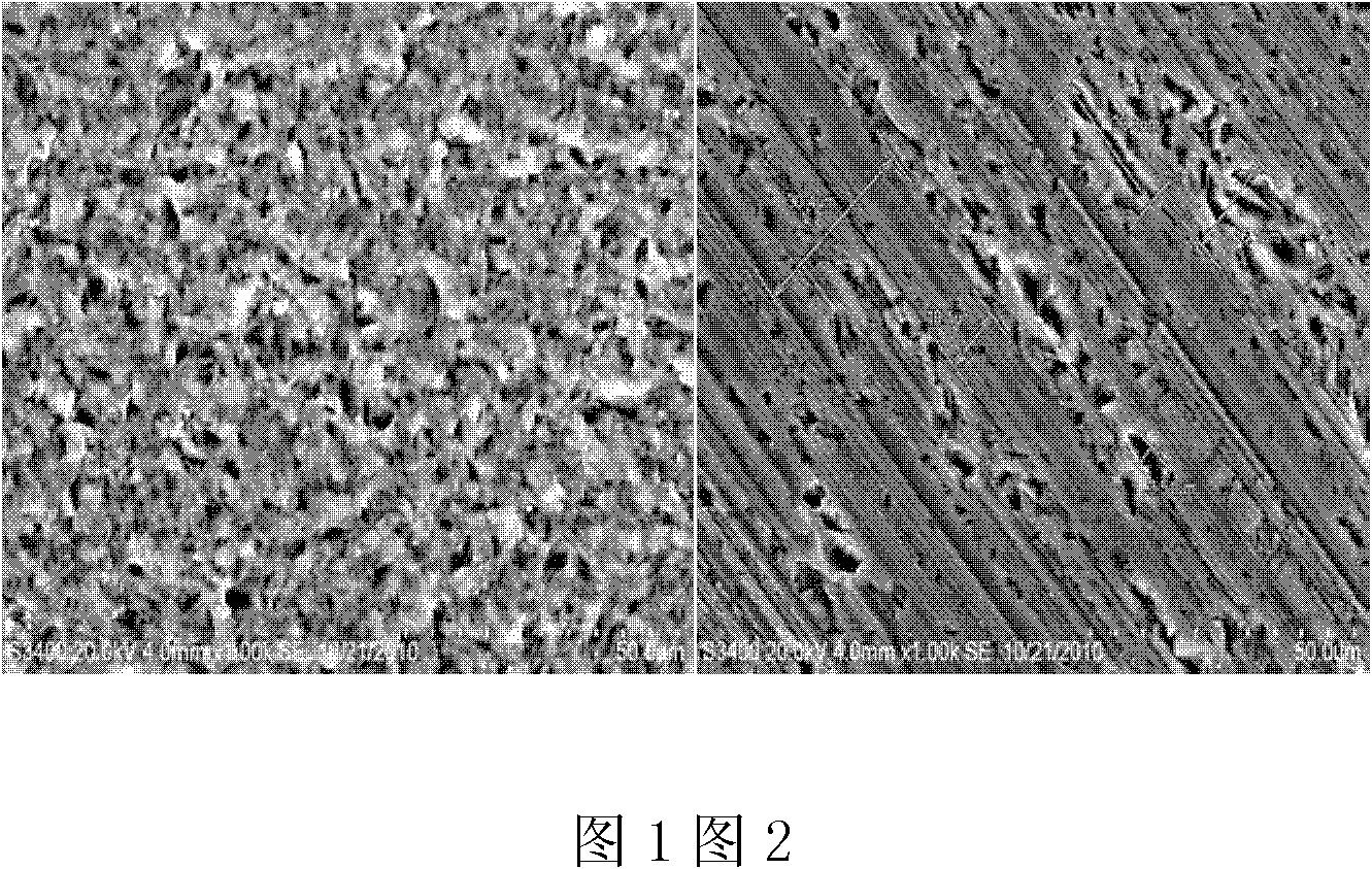 Method for texturing silicon wafer cut by diamond wire