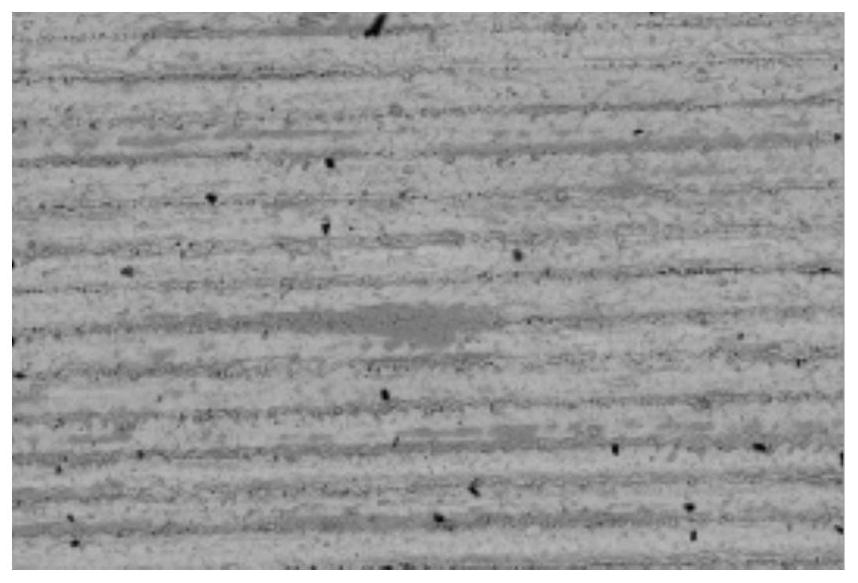 Laser cleaning device and method for oxide skin on surface of hot-rolled high-carbon steel