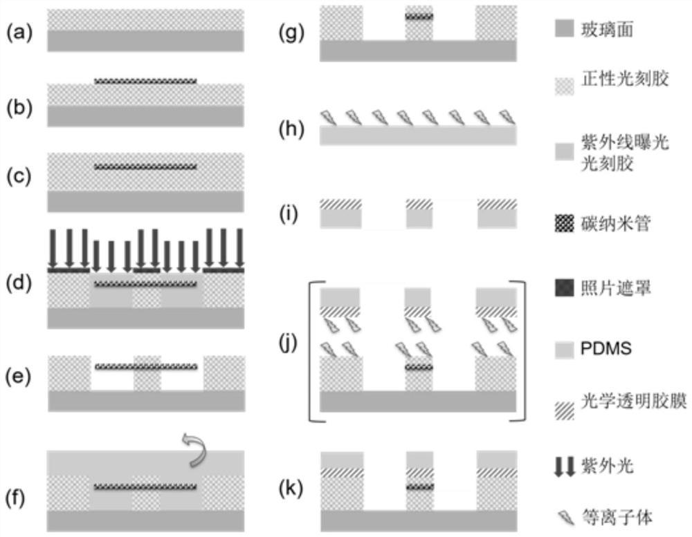 Nanofluidic chip processing method based on carbon nanotube channel