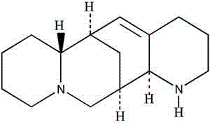 Application of aloperine serving as drug for treating myocardial hypertrophy