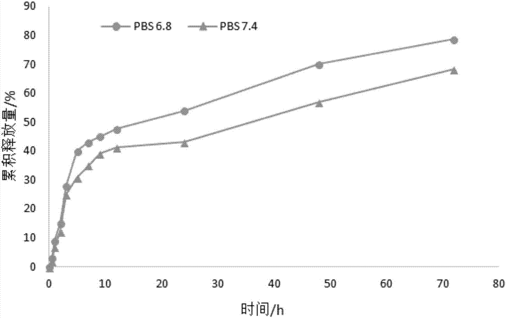 Doxorubicin hydrochloride self-assembled polymer nanoparticle and preparation method thereof