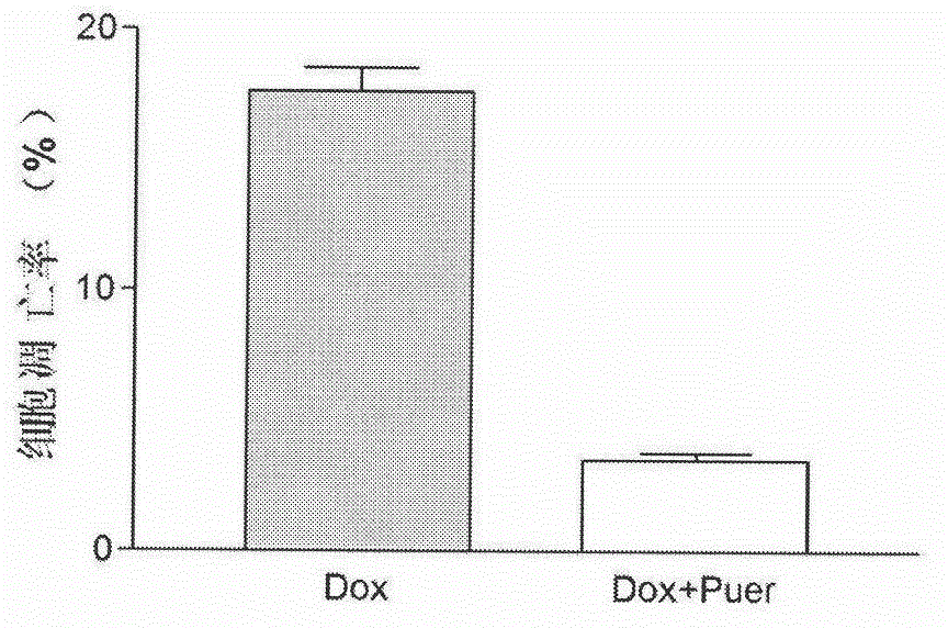 Composition based on main components of Pu'er tea and application thereof