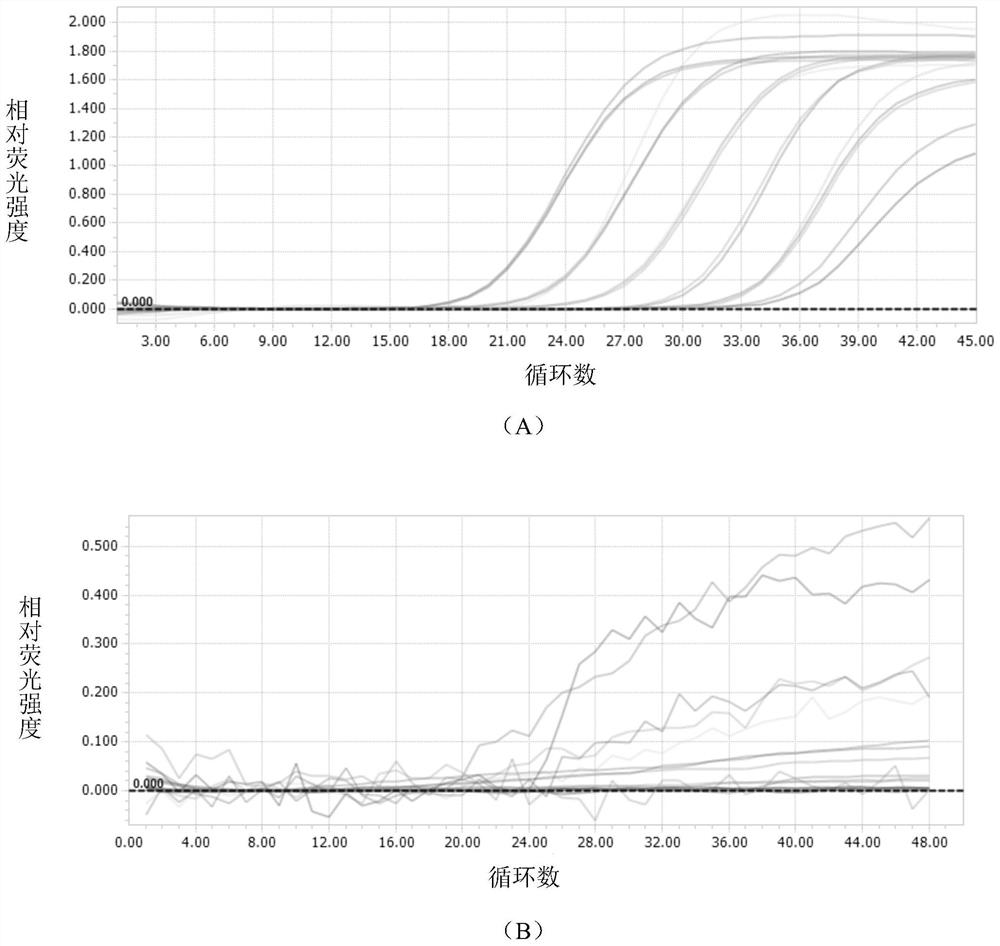 Kit for detecting SARS-CoV-2 coronavirus and special primer and probe thereof