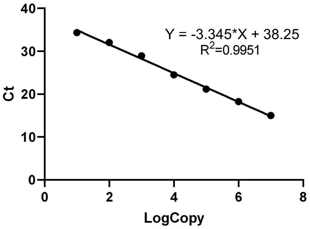 Kit for detecting SARS-CoV-2 coronavirus and special primer and probe thereof