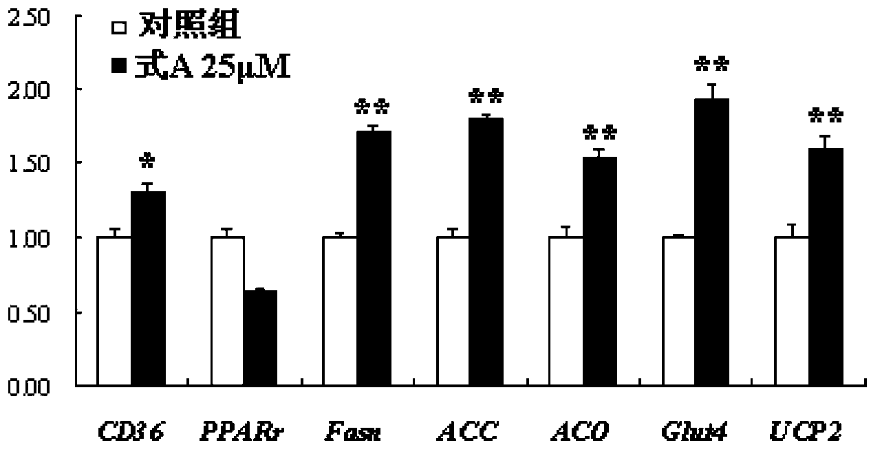 PPAR alpha/gamma dual agonist and its application