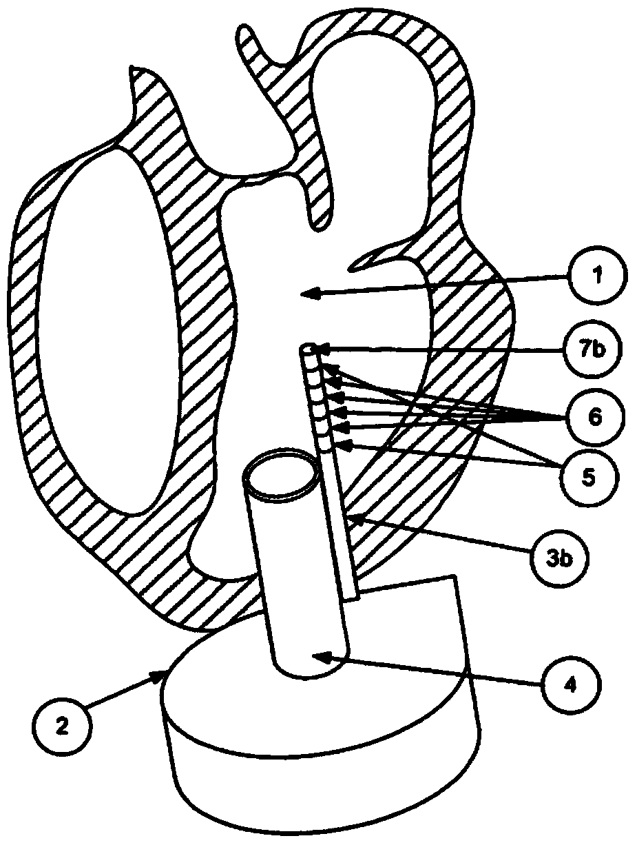 Blood withdrawal cannula of a pump replacing or assisting activity of the heart