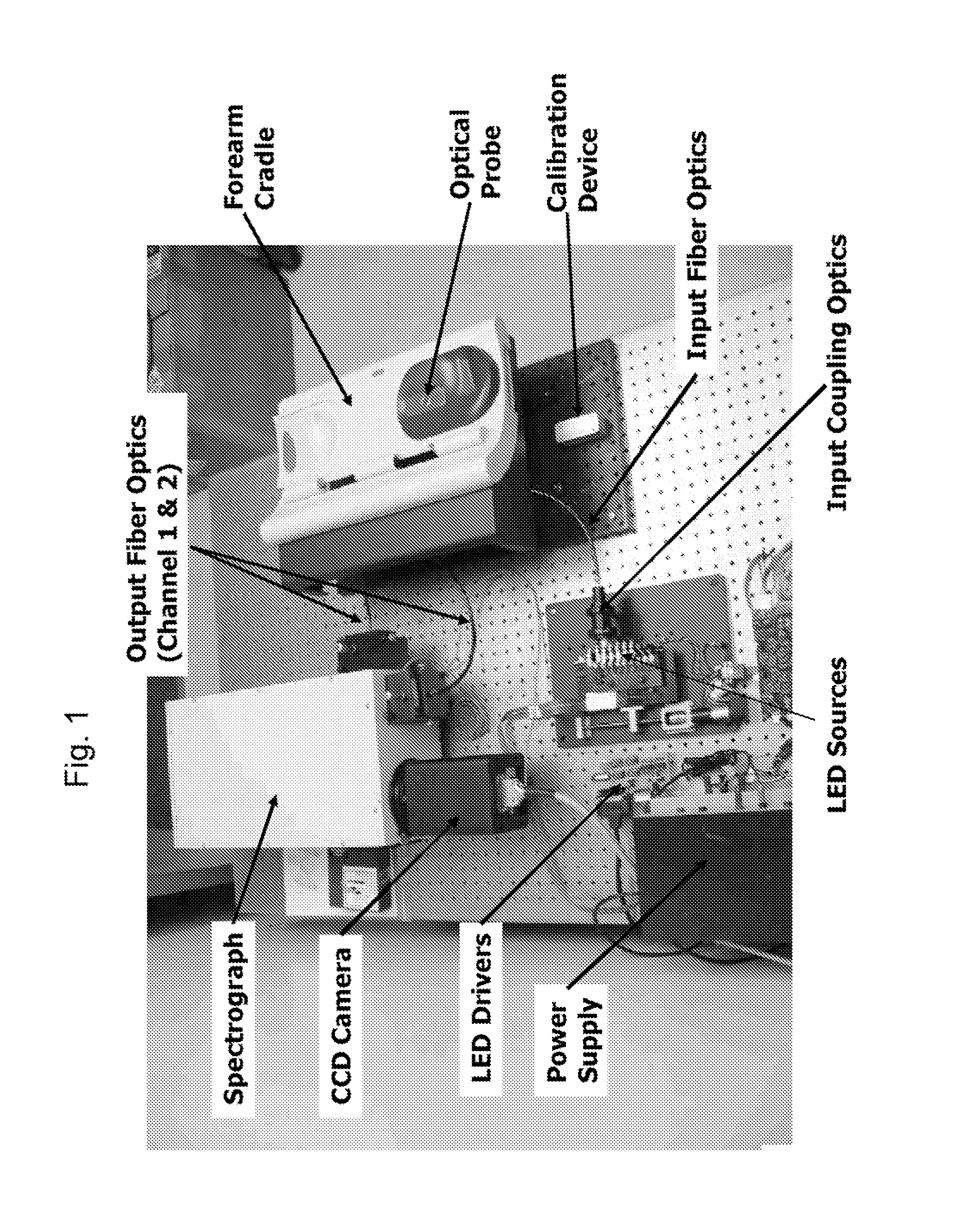 Method and Apparatus for Determination of a Measure of a Glycation End-Product or Disease State Using Tissue Fluorescence