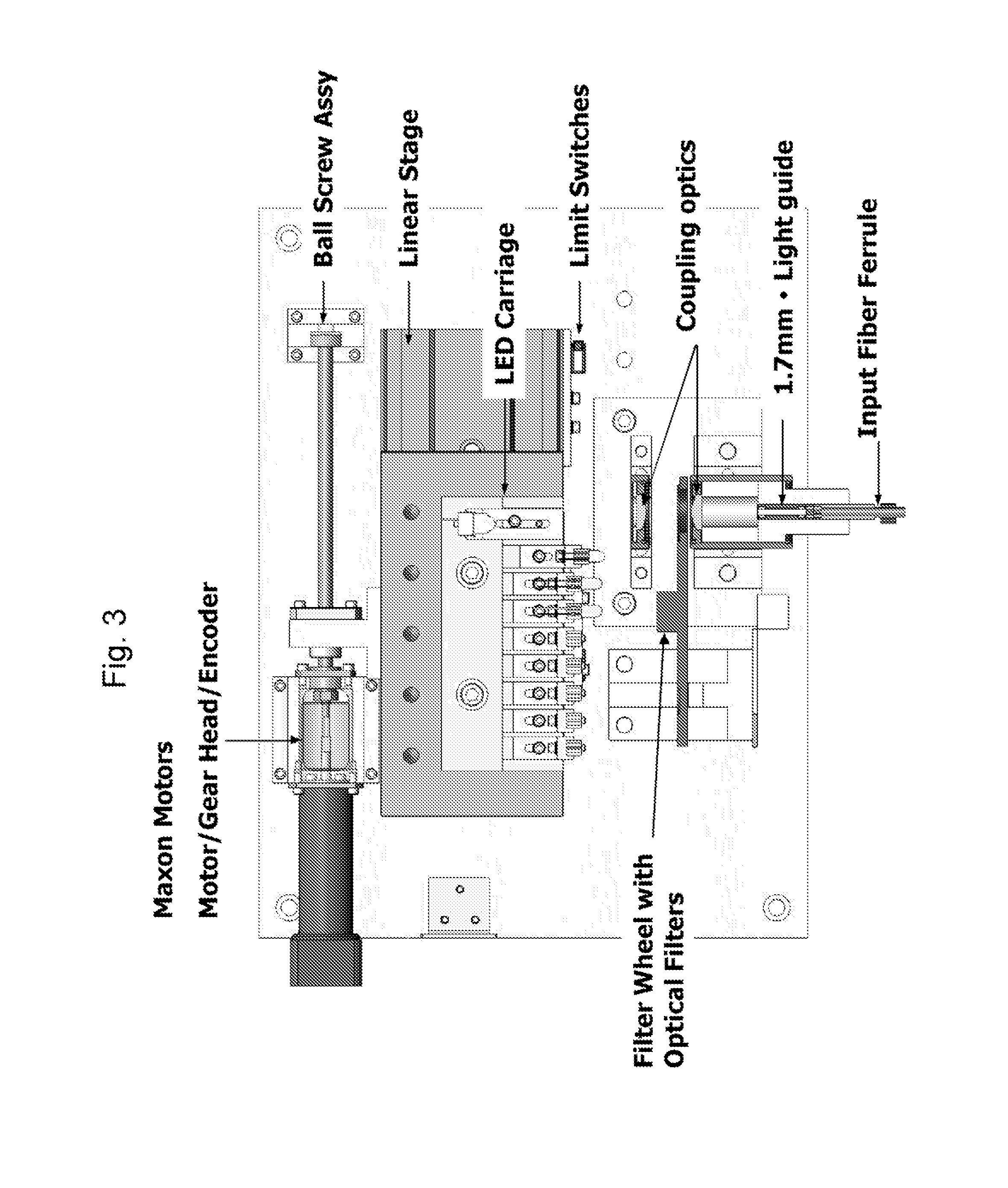 Method and Apparatus for Determination of a Measure of a Glycation End-Product or Disease State Using Tissue Fluorescence