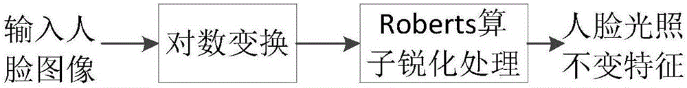 Face illumination invariant feature extraction method by using logarithmic transformation and Roberts operator