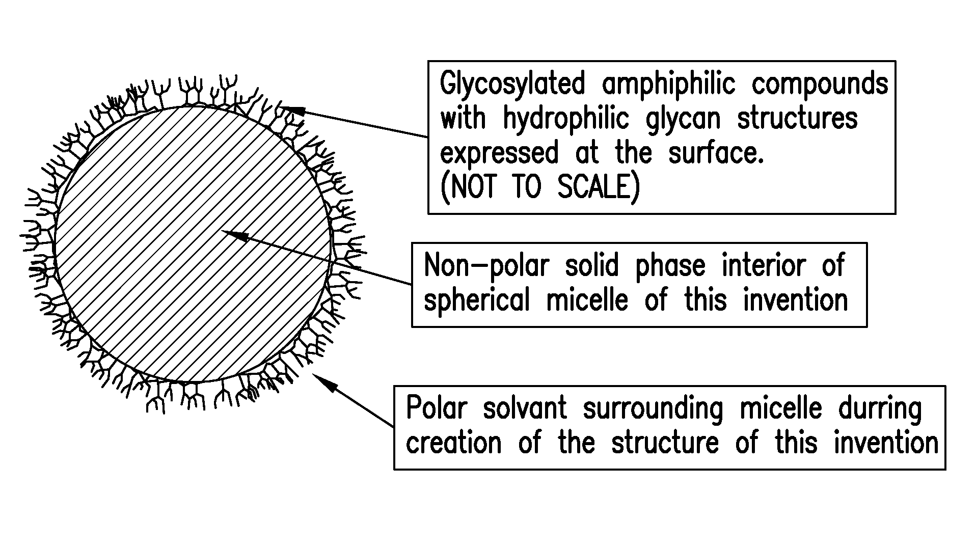 Biomimetic particles and films for pathogen capture and other uses