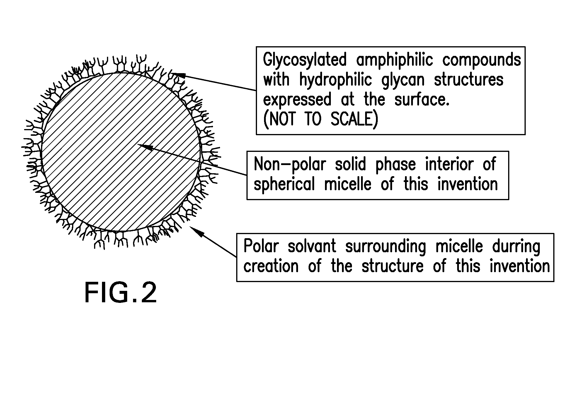 Biomimetic particles and films for pathogen capture and other uses