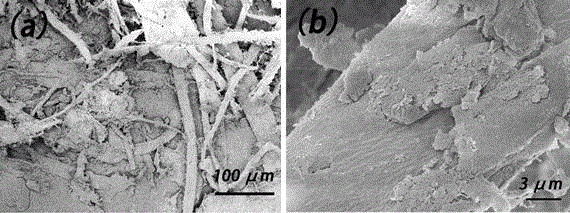 A kind of preparation method of superhydrophobic recycled paper