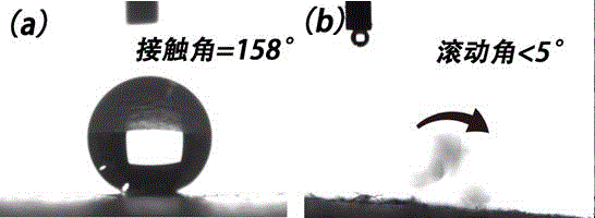 A kind of preparation method of superhydrophobic recycled paper