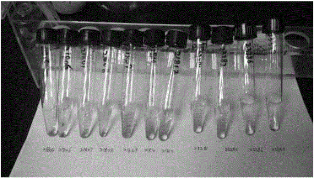 Method for quickly detecting whether nitrite content of processing meat product exceeds standard or not