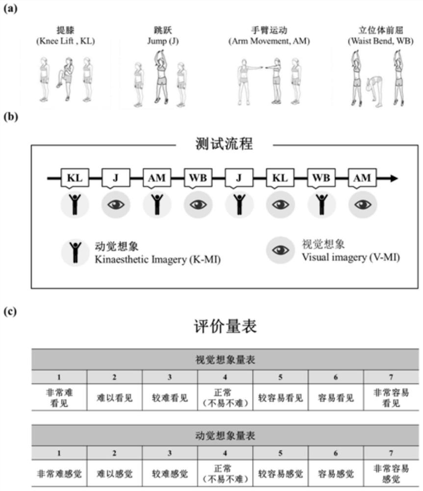 Motor imagery nerve response capability detection device based on behavior test