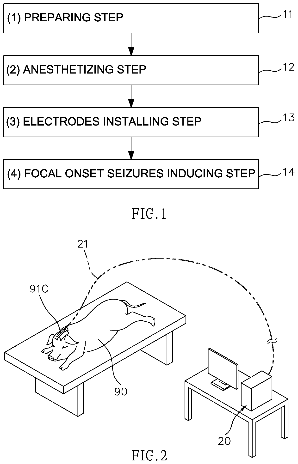 Animal model for generating a stereotype of focal onset seizures