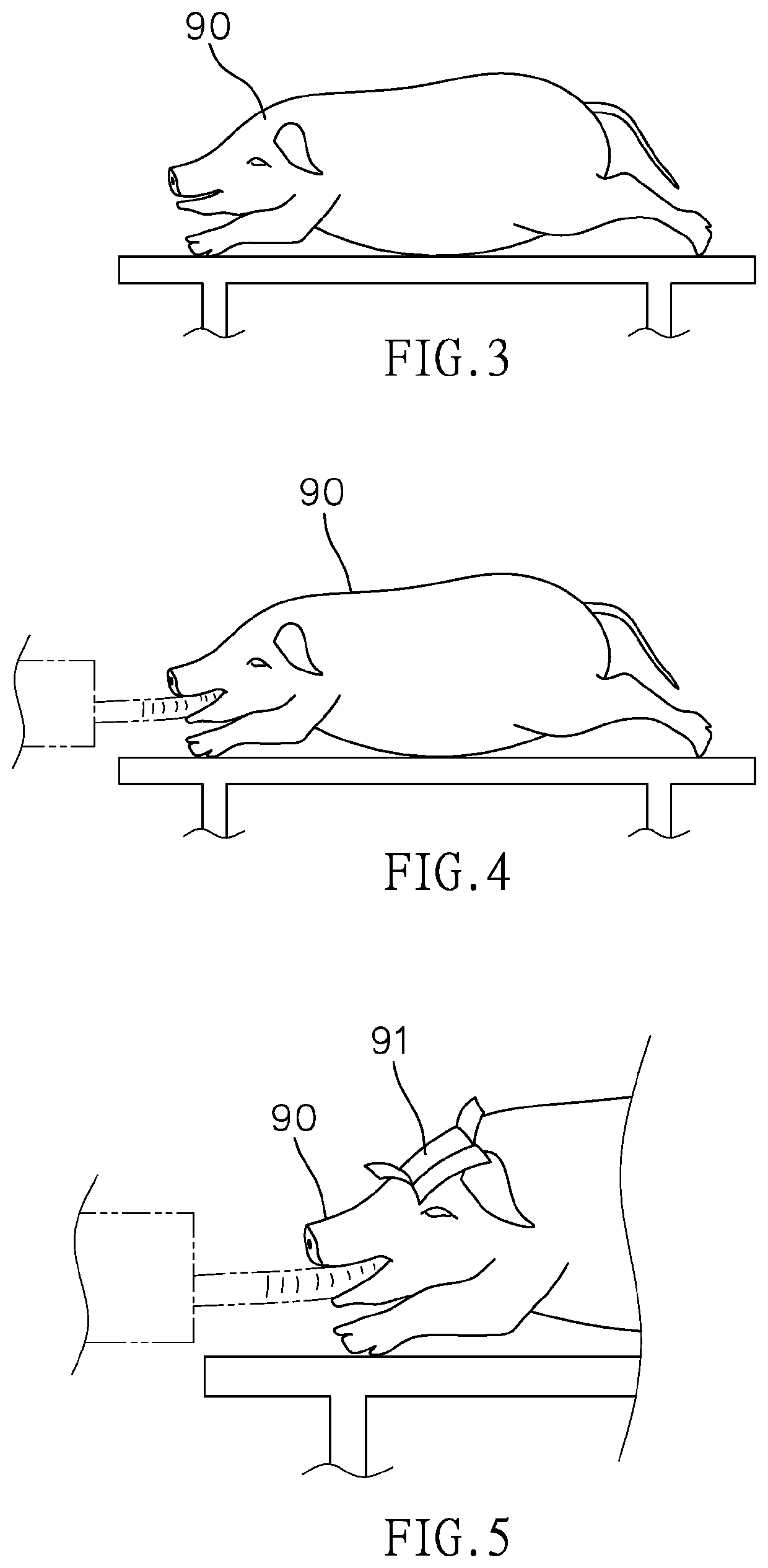 Animal model for generating a stereotype of focal onset seizures