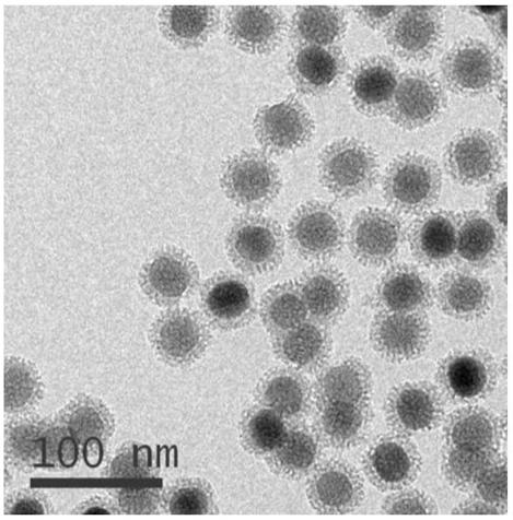 Preparation method and application of rare earth doped NaYF4/carbon quantum dot dual-mode fluorescent nanocomposite