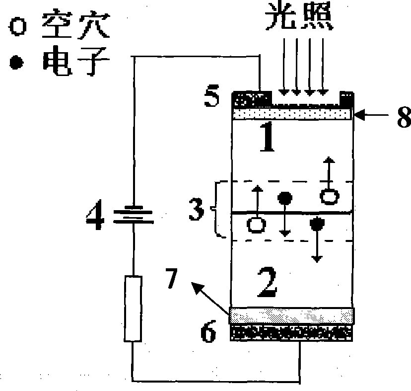 Organic light coupling device