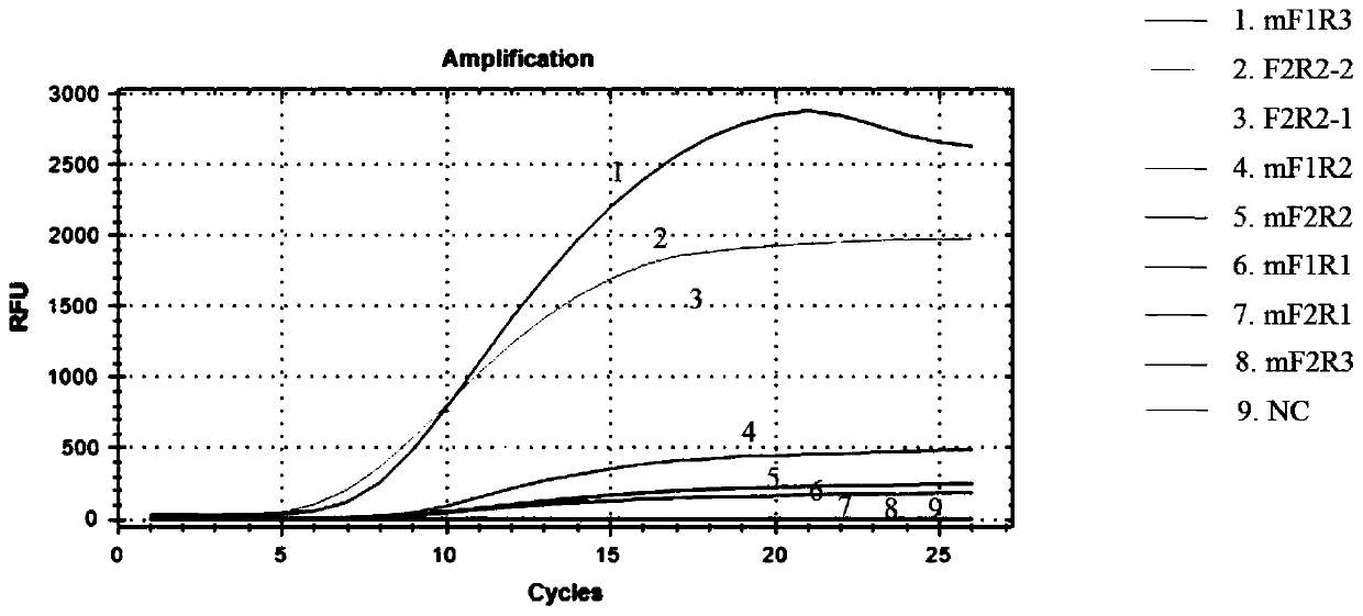 Real-time recombinase-mediated isothermal amplification nucleic acid kit for rapid detection of toxoplasma gondii and application thereof