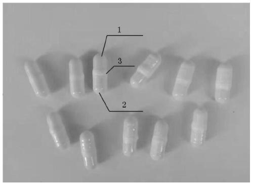 Hollow capsule enteric coated sealing ring composition and preparation method and application thereof